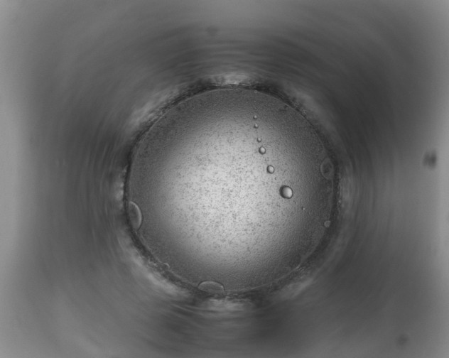 X0000112810545200908281509