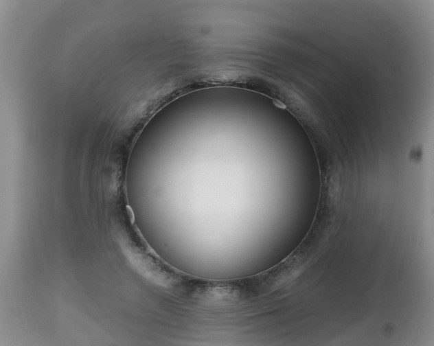 X0000112810546200908281509