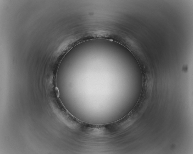 X0000112810548200908281509