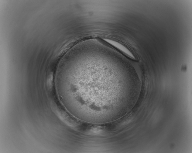 X0000112810550200908281509