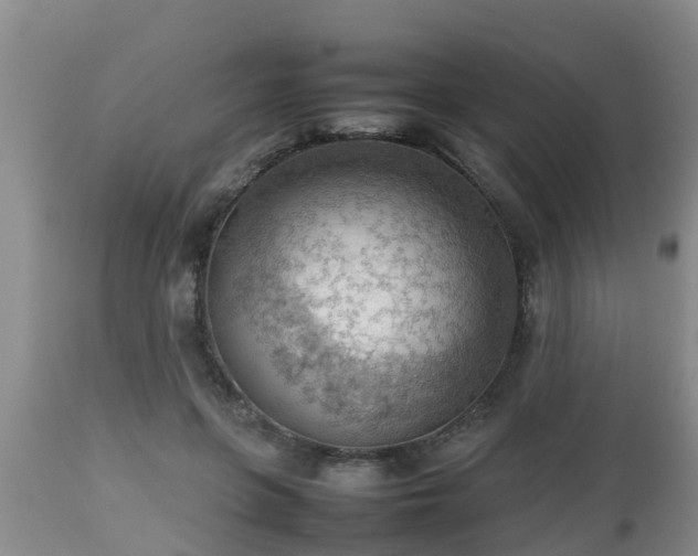 X0000112810551200908281509