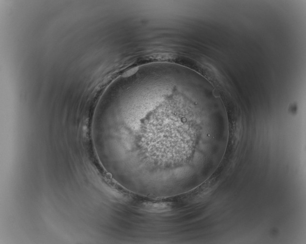X0000112810553200908281509