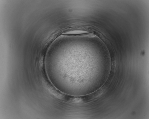 X0000112810554200908281509