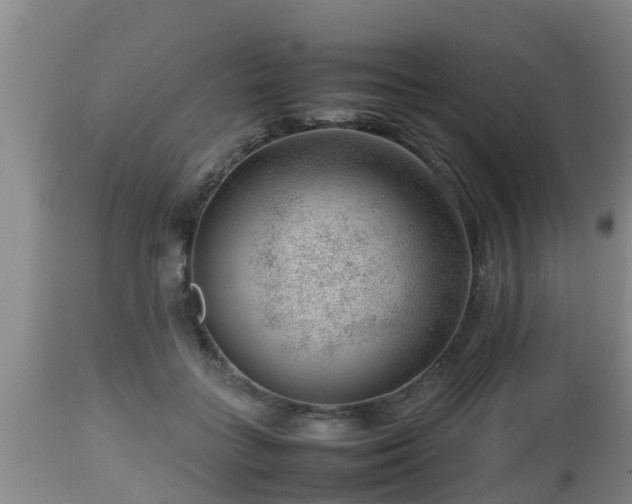 X0000112810555200908281509