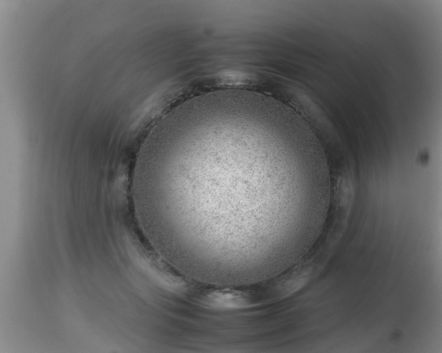 X0000112810557200908281509