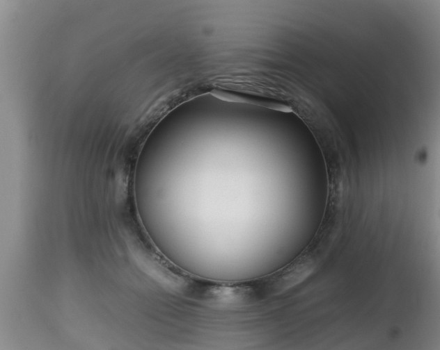 X0000112810558200908281509