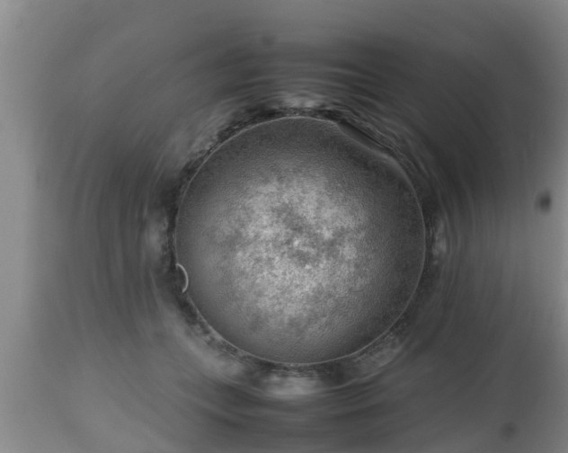 X0000112810559200908281509