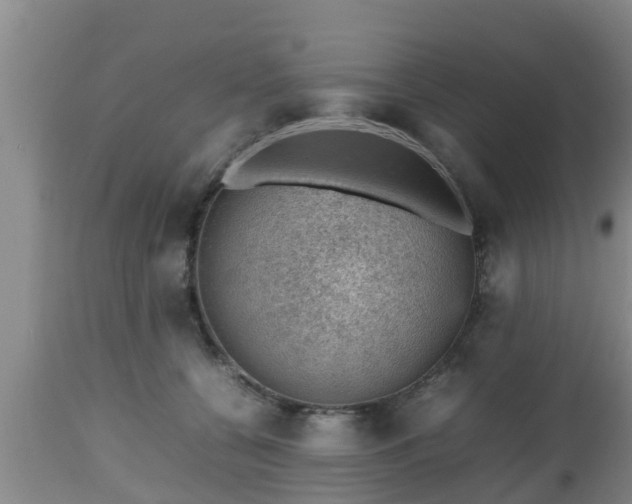 X0000112810560200908281509