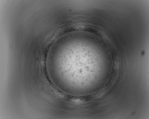 X0000112810561200908281509