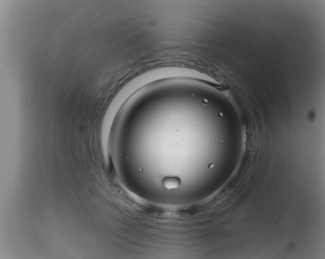 X0000112810562200908281509
