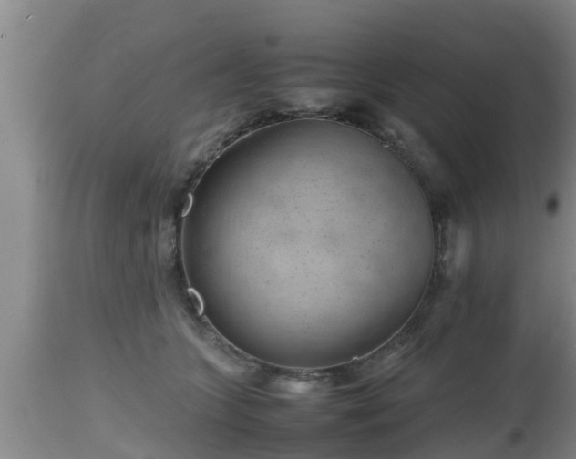 X0000112810563200908281509