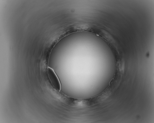 X0000112810564200908281509