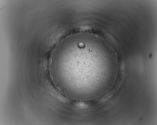 X0000112810565200908281509