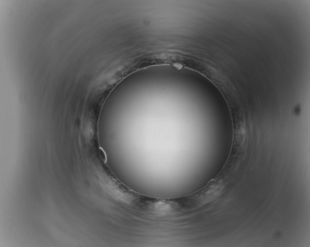 X0000112810566200908281509