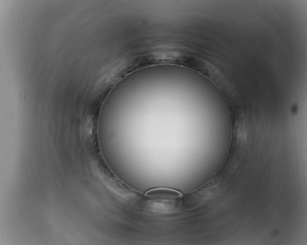 X0000112810567200908281509