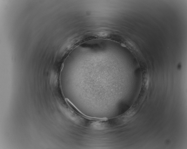 X0000112810568200908281509