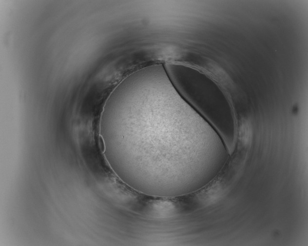 X0000112810572200908281509