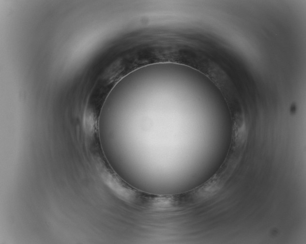 X0000112810574200908281509
