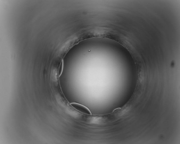 X0000112810575200908281509