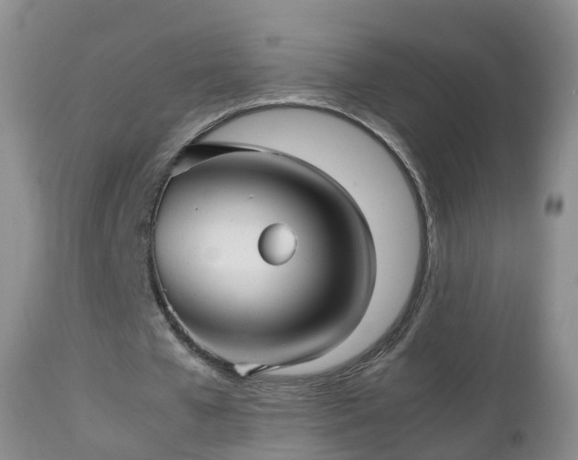 X0000112810577200908281509