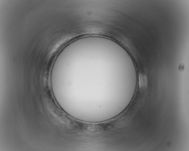X0000112810579200908281509