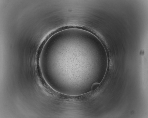 X0000112810580200908281509