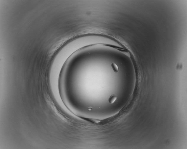 X0000112810581200908281509