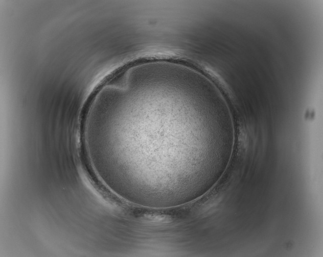 X0000112810582200908281509
