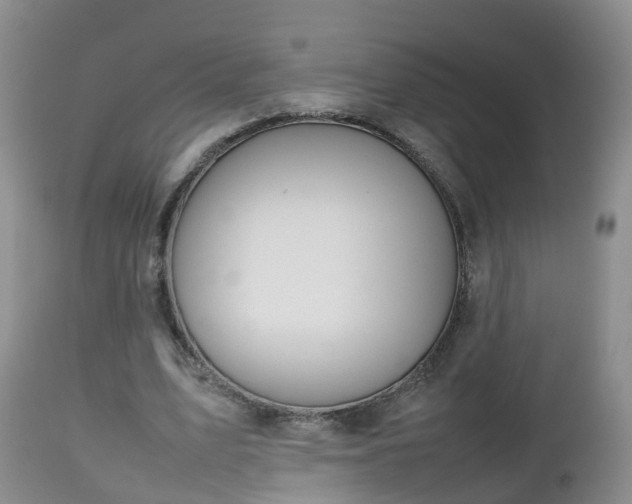 X0000112810583200908281509