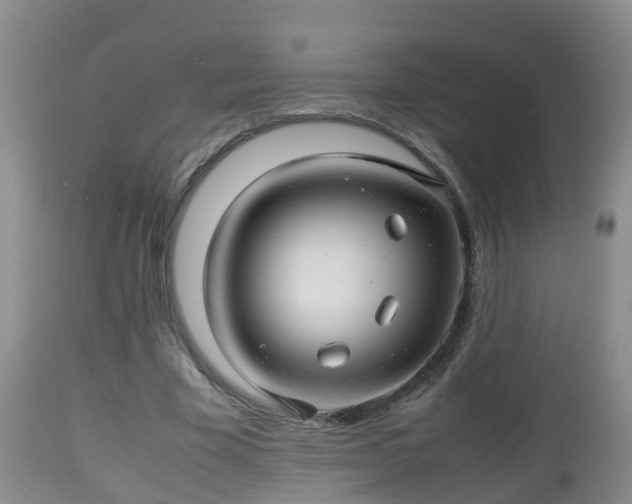 X0000112810585200908281509