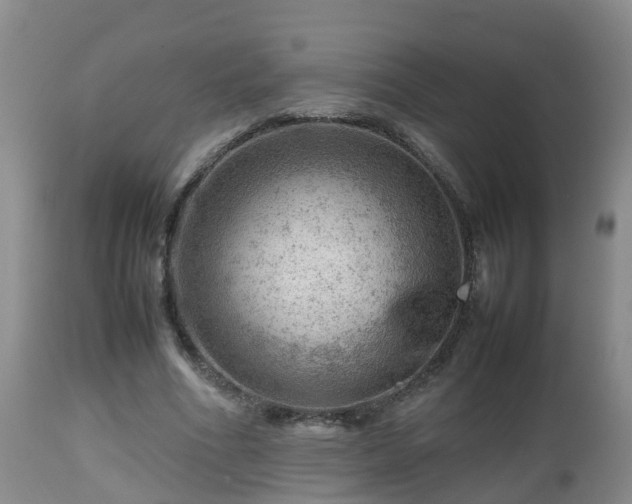 X0000112810586200908281509