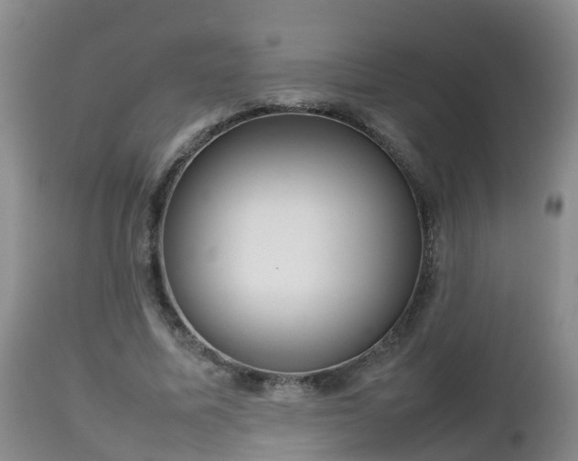 X0000112810587200908281509