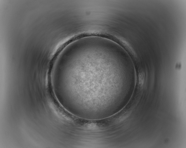 X0000112810588200908281509