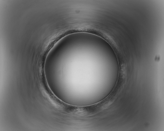 X0000112810589200908281509