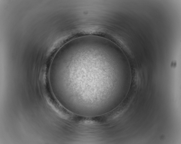 X0000112810590200908281509