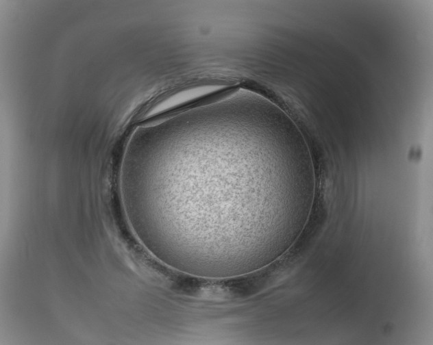 X0000112810591200908281509