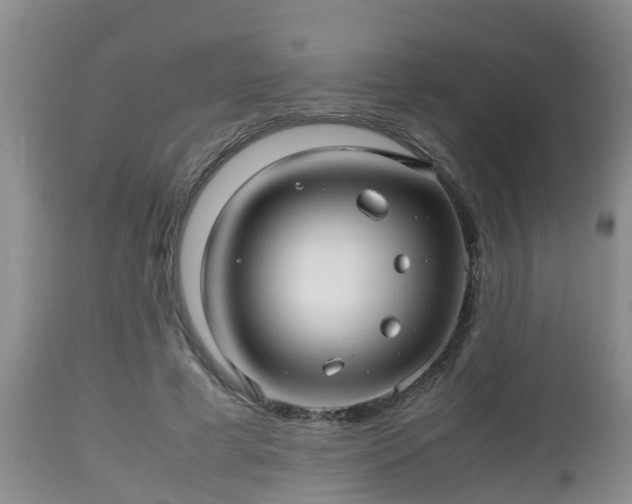 X0000112810593200908281509