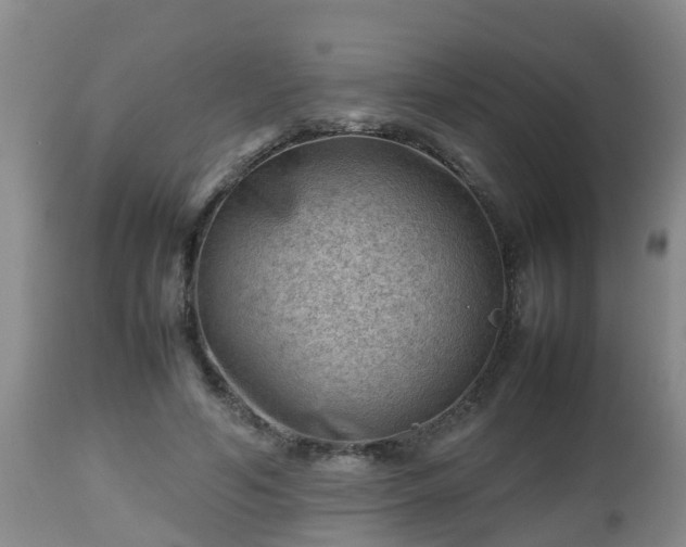 X0000112810594200908281509