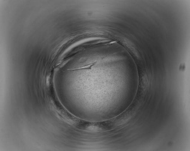 X0000112810596200908281509