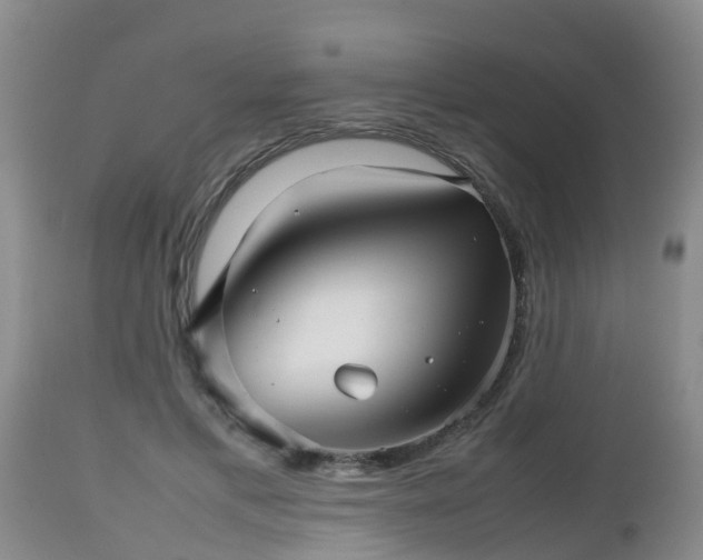 X0000112810597200908281509