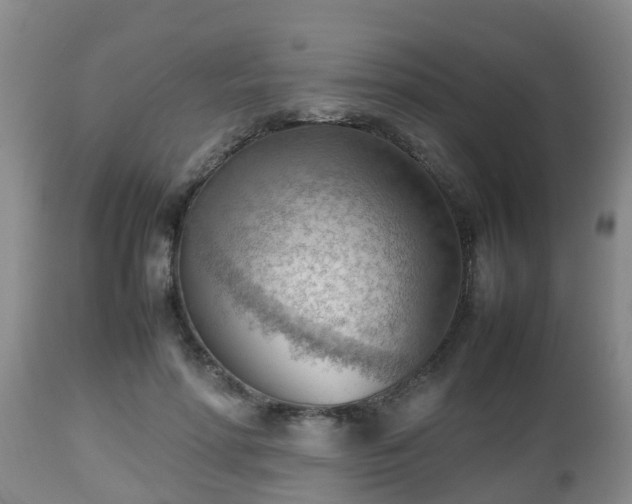X0000112810598200908281509