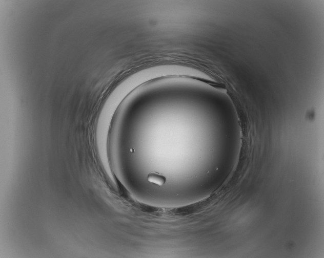 X0000112810601200908281508