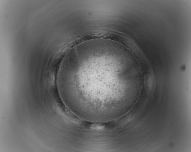 X0000112810602200908281508