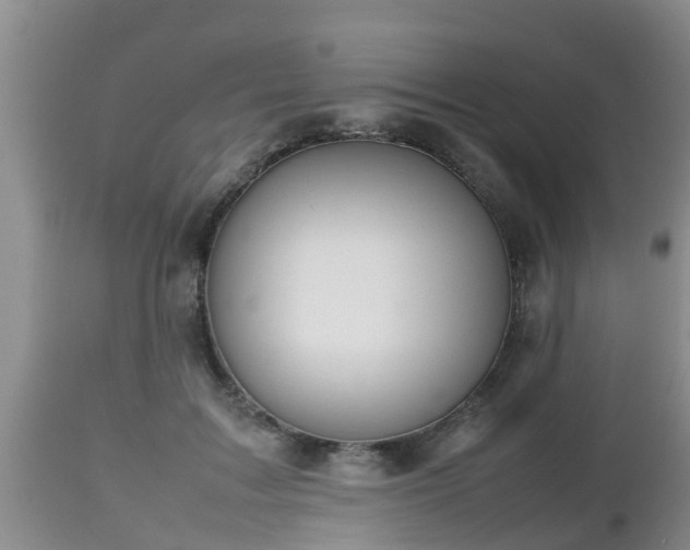 X0000112810603200908281508