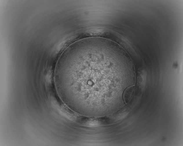 X0000112810604200908281508