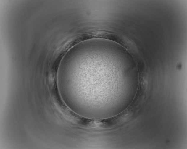 X0000112810607200908281508