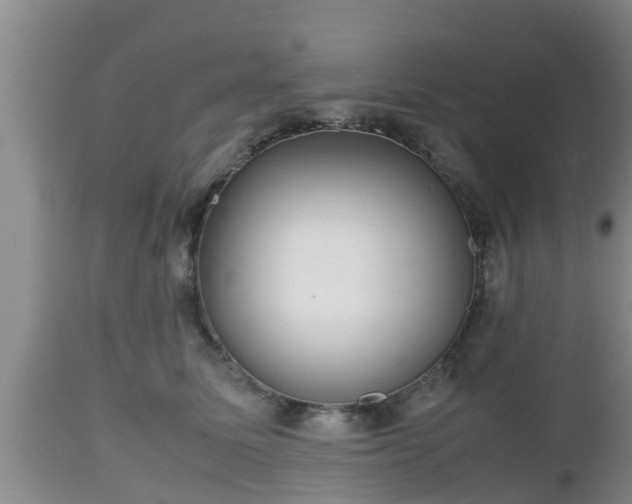 X0000112810611200908281508