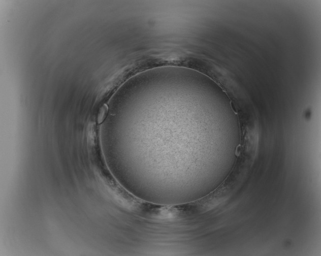 X0000112810612200908281508