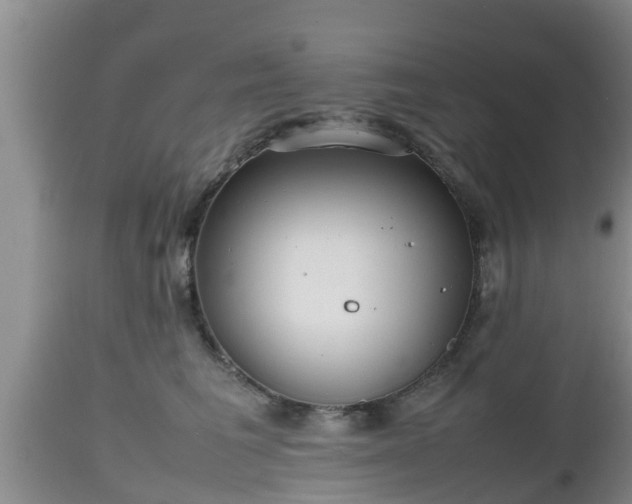 X0000112810613200908281508