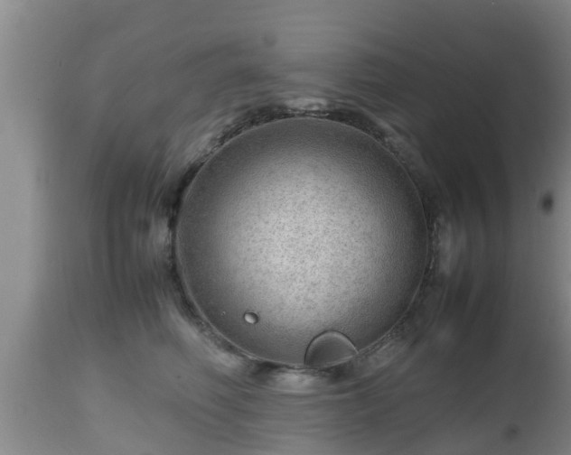 X0000112810614200908281508